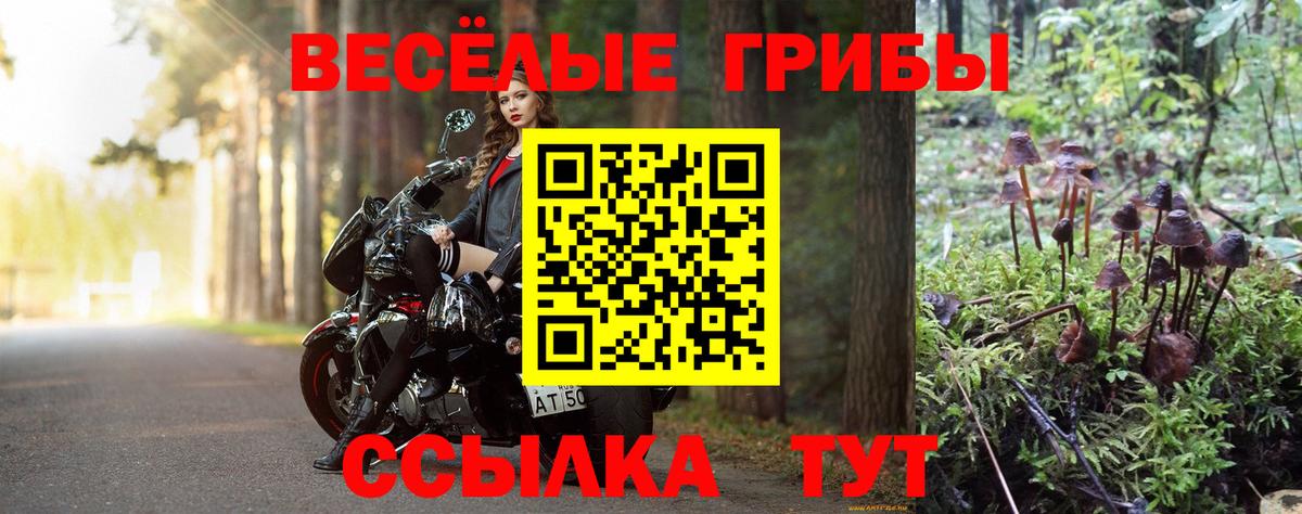 Жуковский  как найти наркотики  Вход с VPN  Галлюциногенные грибы Cubensis  Псилоцибиновые грибы мухоморы 